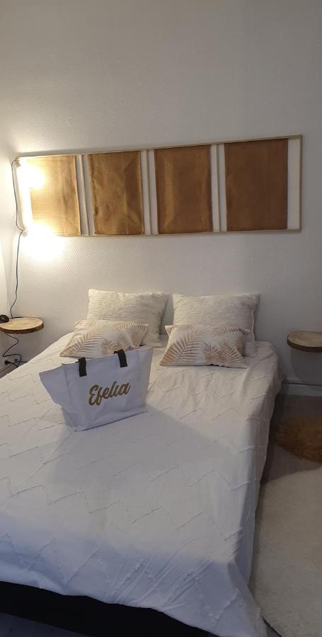 Maison Cosy Paris Orly Jardin Privee Appartement *