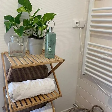 Maison Cosy Paris Orly Jardin Privee Vitry-sur-Seine Exterior foto