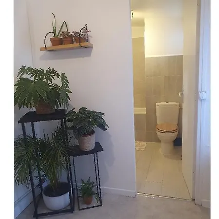 Maison Cosy Paris Orly Jardin Privee Vitry-sur-Seine Exterior foto